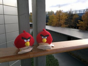 Angry Birds