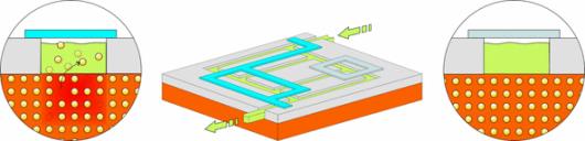 IBM Pioneers New Liquid-Based Transistors That Mimic The Human Brain ...