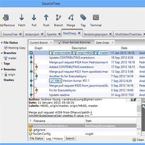 sourcetree file history