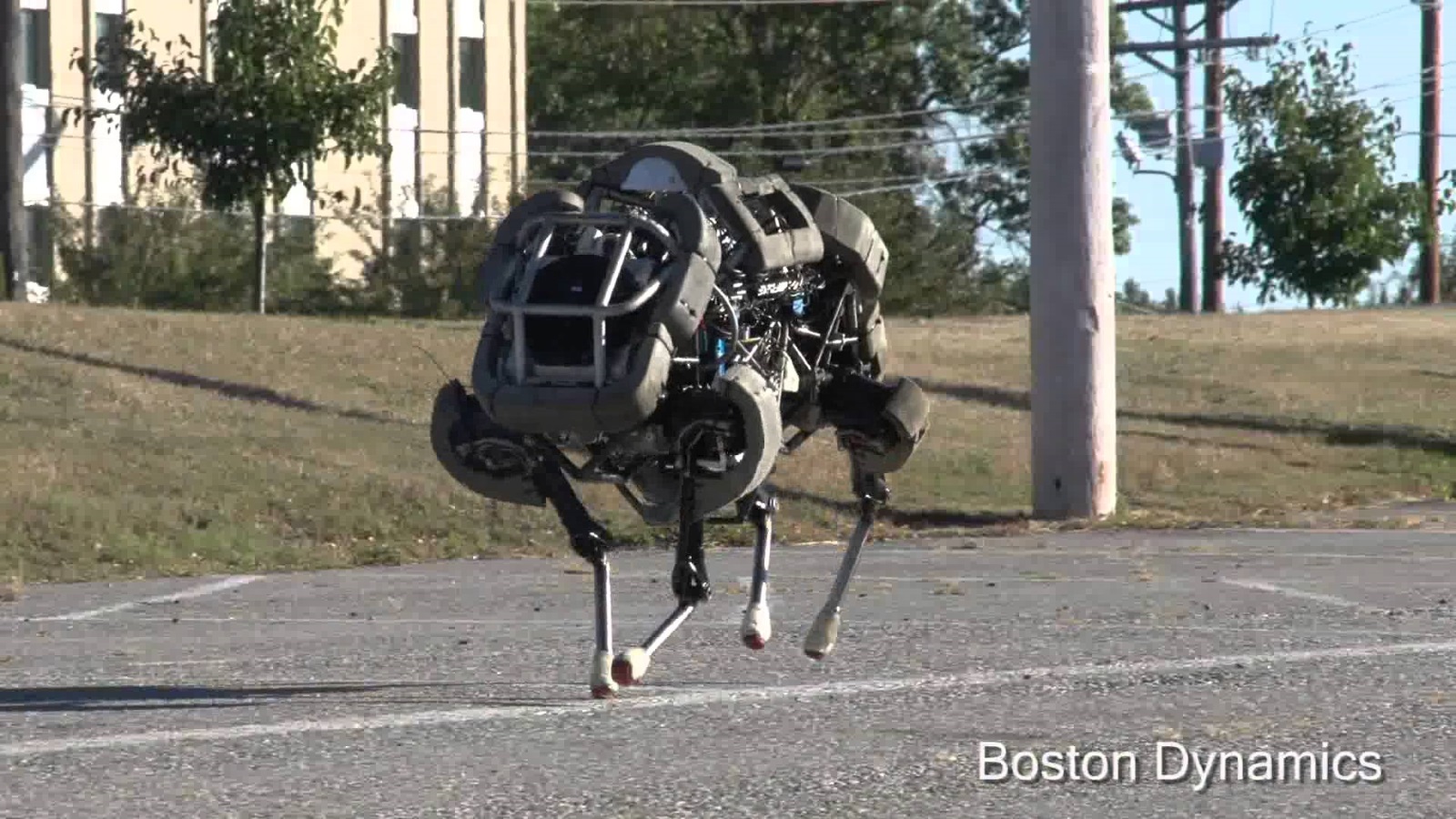 boston dynamics robot dog
