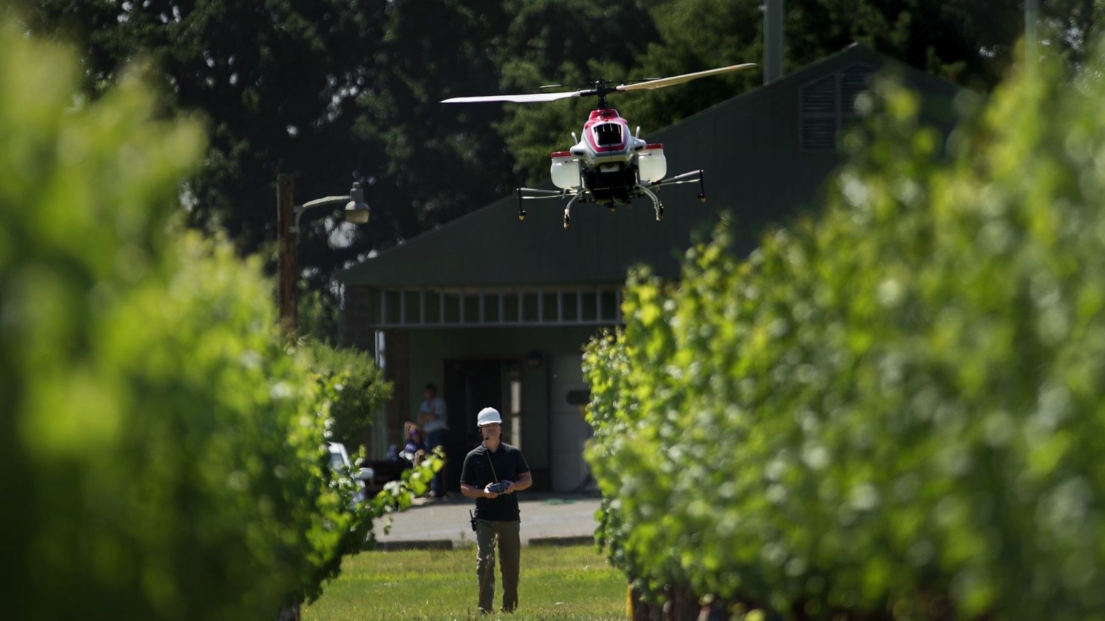 Farming with Drones