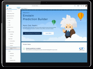 einstein-prediction-builder