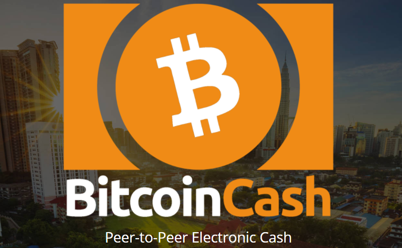 Bitcoin Cash Price Surges As Speculators Look To Invest In - 