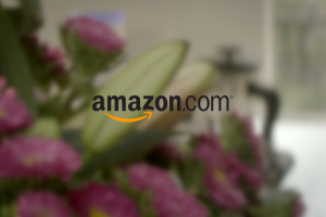 amazon vesta home robot