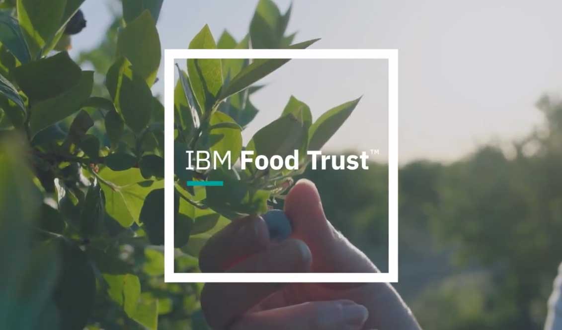 ibm blockchain food trust