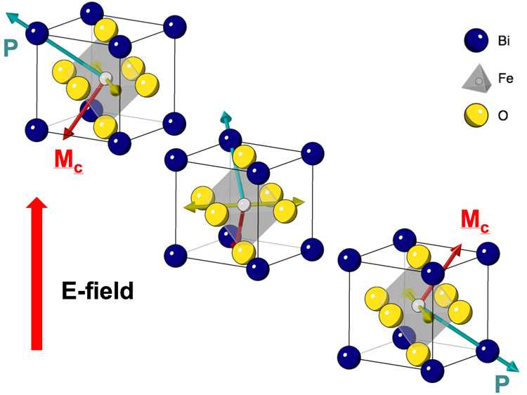 Single crystals of the multiferroic material bismuth-iron-oxide. The bismuth atoms (blue) form a cubic lattice with oxygen atoms (yellow) at each face of the cube and an iron atom (gray) near the center. The somewhat off-center iron interacts with the oxygen to form an electric dipole (P), which is coupled to the magnetic spins of the atoms (M) so that flipping the dipole with an electric field (E) also flips the magnetic moment. The collective magnetic spins of the atoms in the material encode the binary bits 0 and 1, and allow for information storage and logic operations.