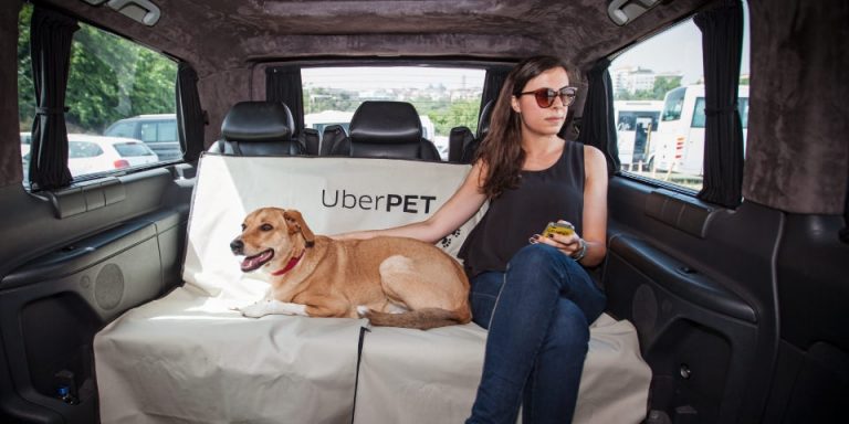 Uber to offer animal transport with new 