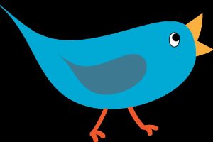 6941676850_846d67f527_c