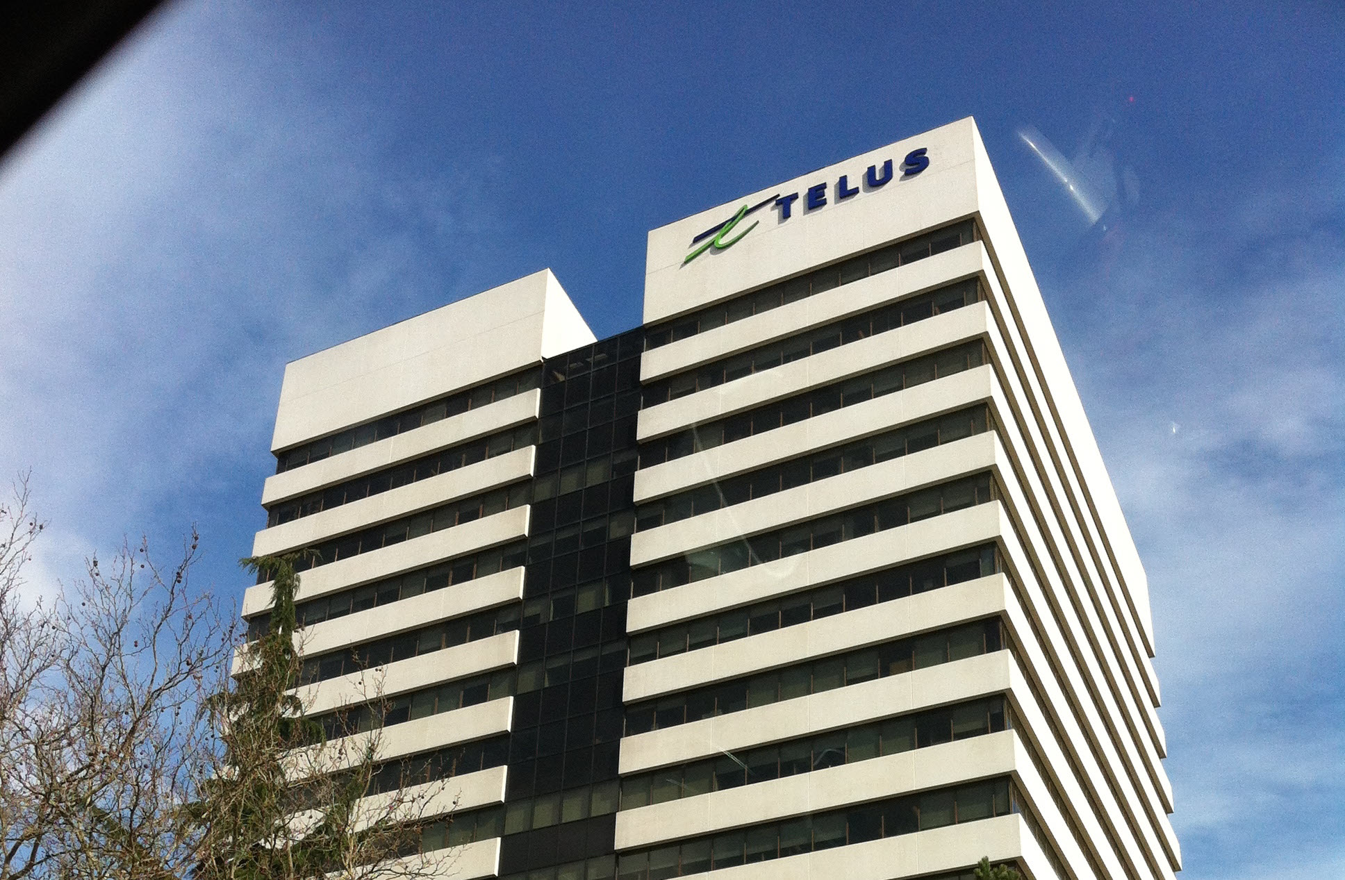 following-successful-ipo-telus-international-seeks-dominance-in