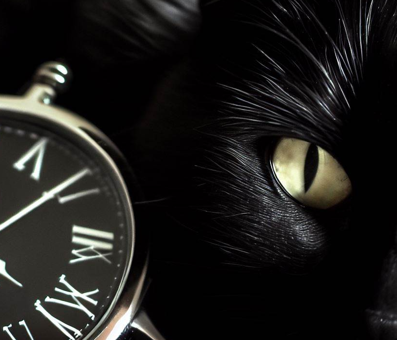 blackcatseiko.png