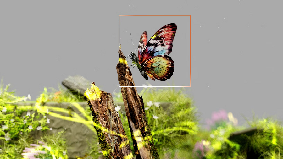 Ultralytics Secures M in Funding for Computer Vision Innovations