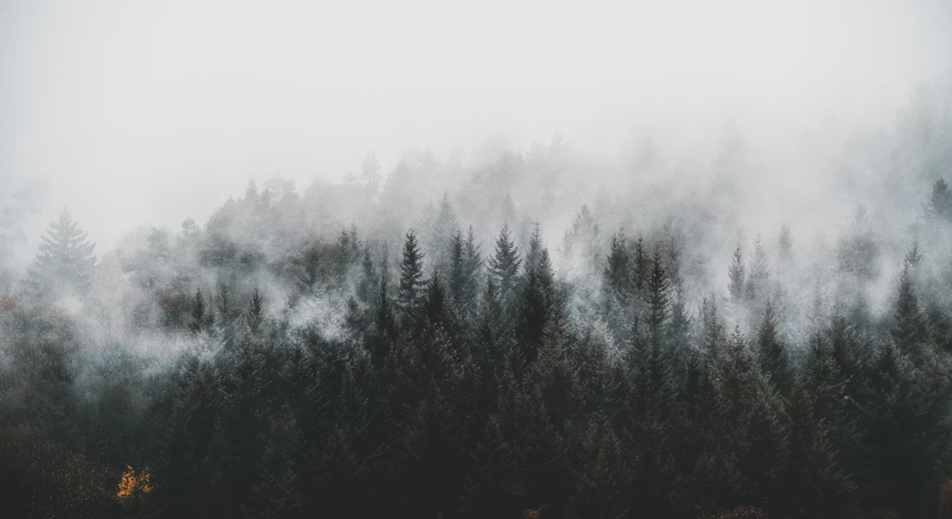 siliconangle.com - Maria Deutscher - Open-source image generator startup Black Forest Labs raises $300M